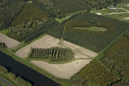 Marinus Boezem - De groene kathedraal